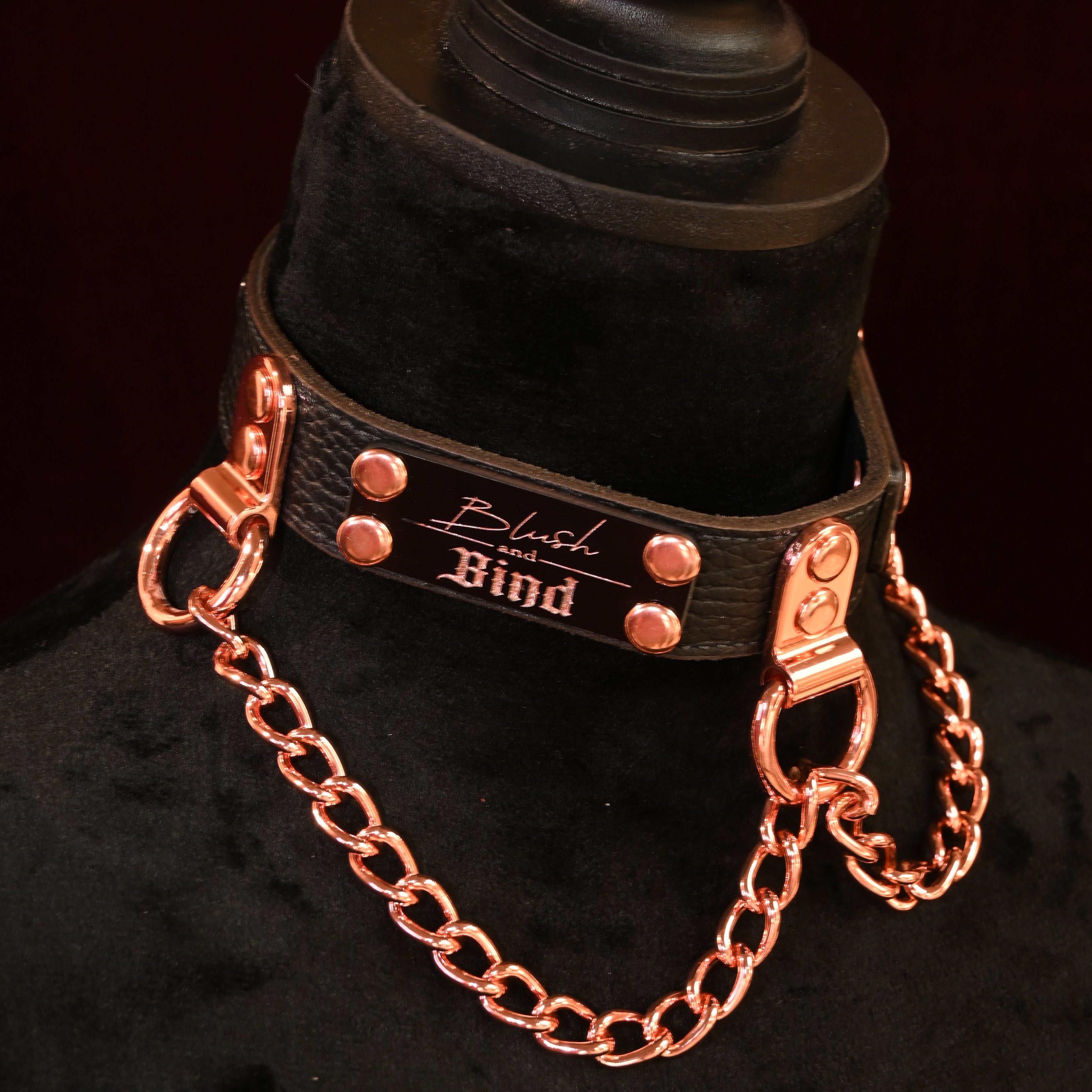 Copper Chain Name Plate Collar image 0