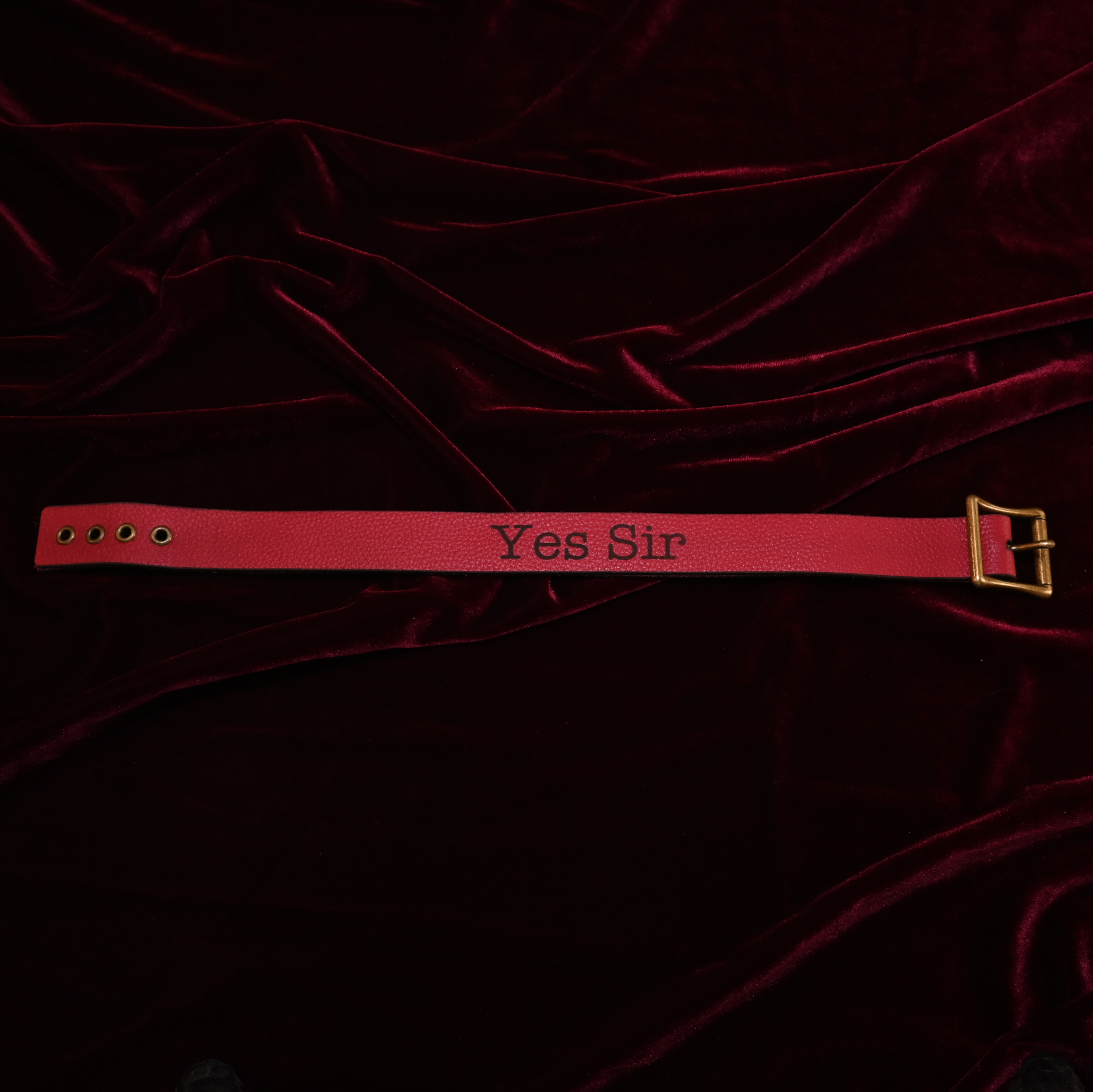 Crimson "Yes Sir" Collar image 2