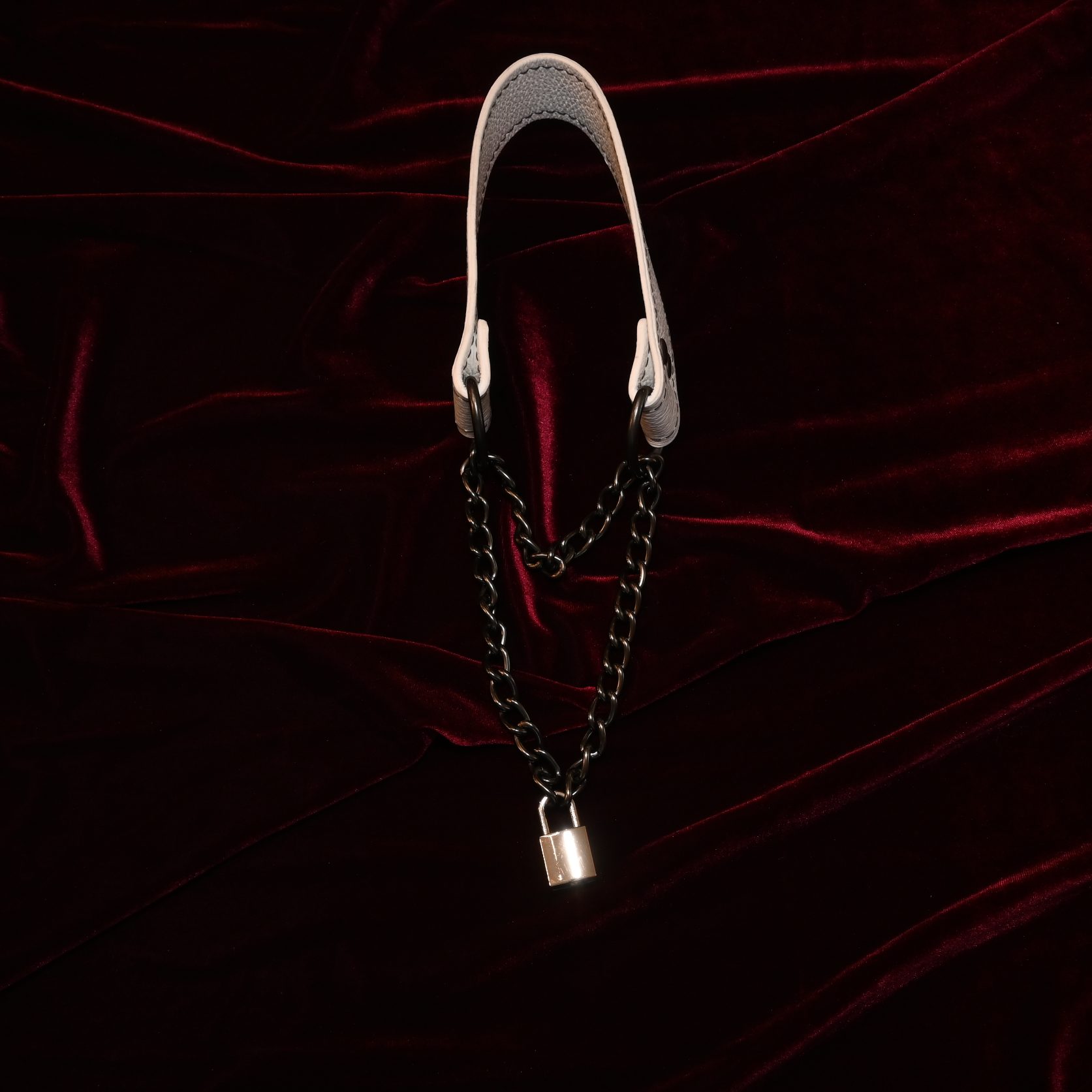 Obey Another Day - Agent No. 7 Collar image 2