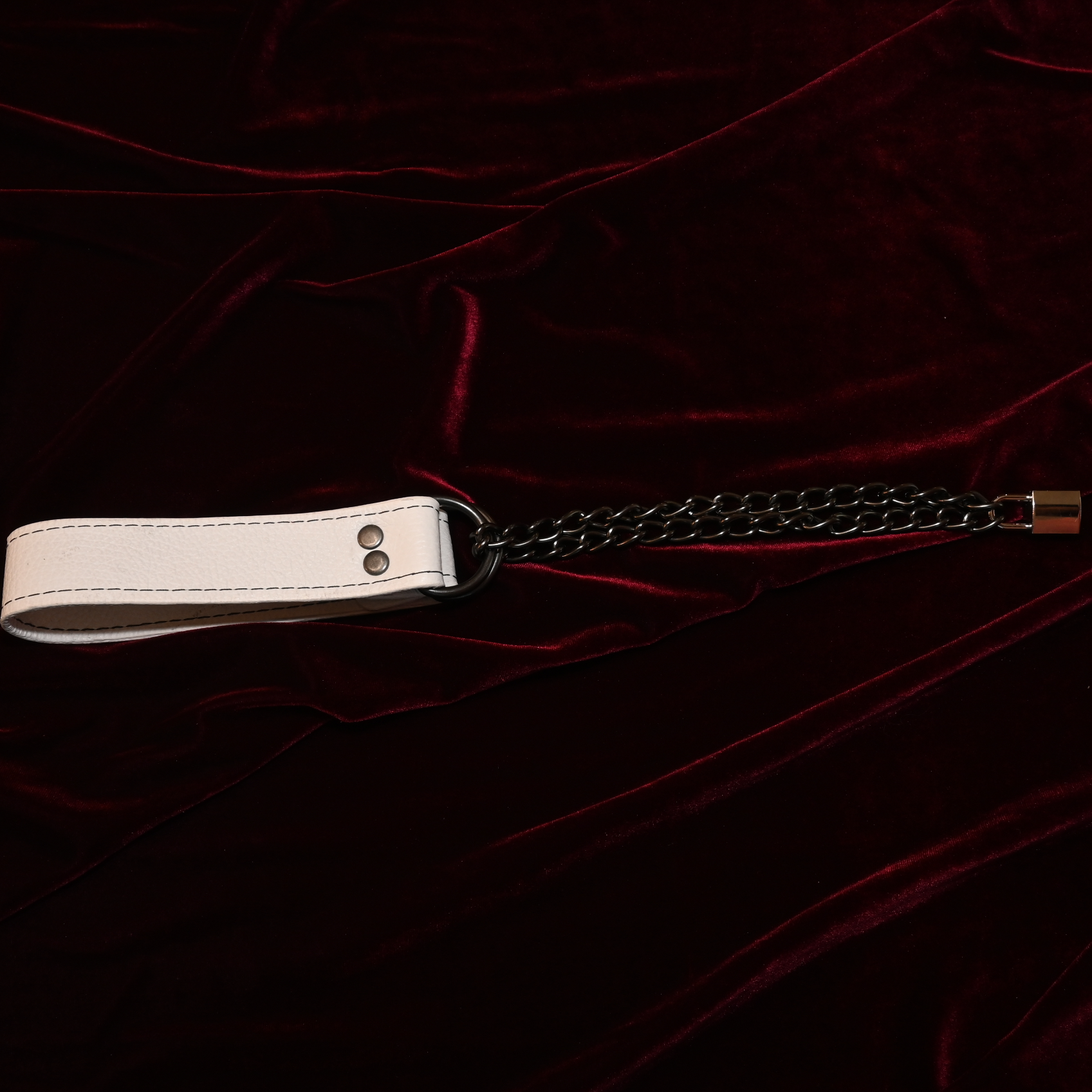 Obey Another Day - Agent No. 7 Collar image 3