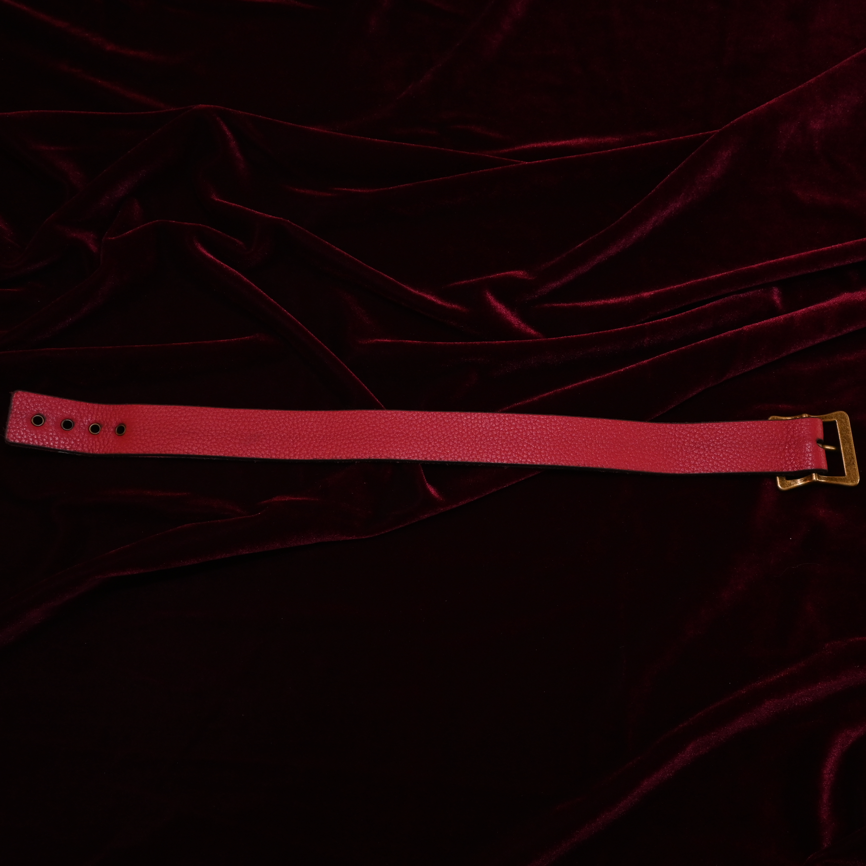 Crimson "Yes Sir" Collar image 3