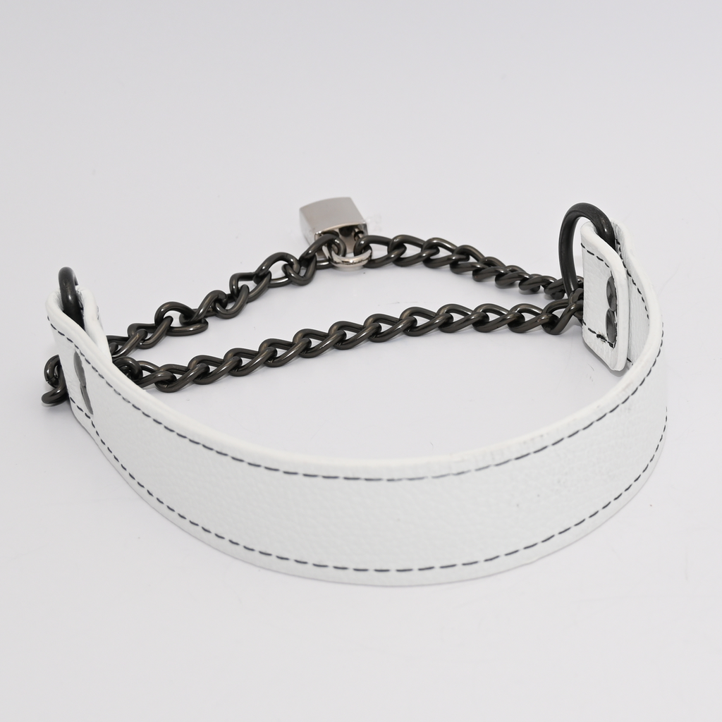 Obey Another Day - Agent No. 7 Collar image 6