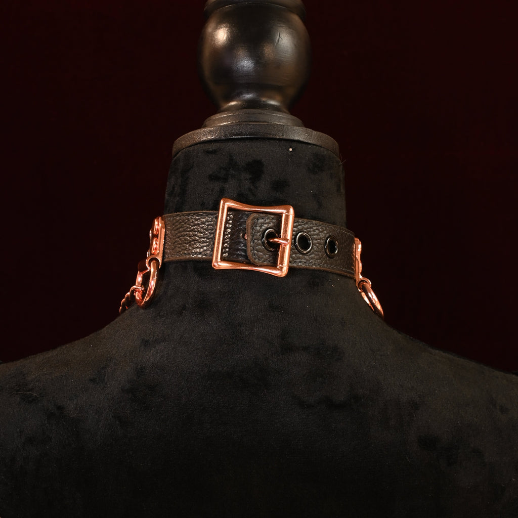 Copper Chain Name Plate Collar image 3