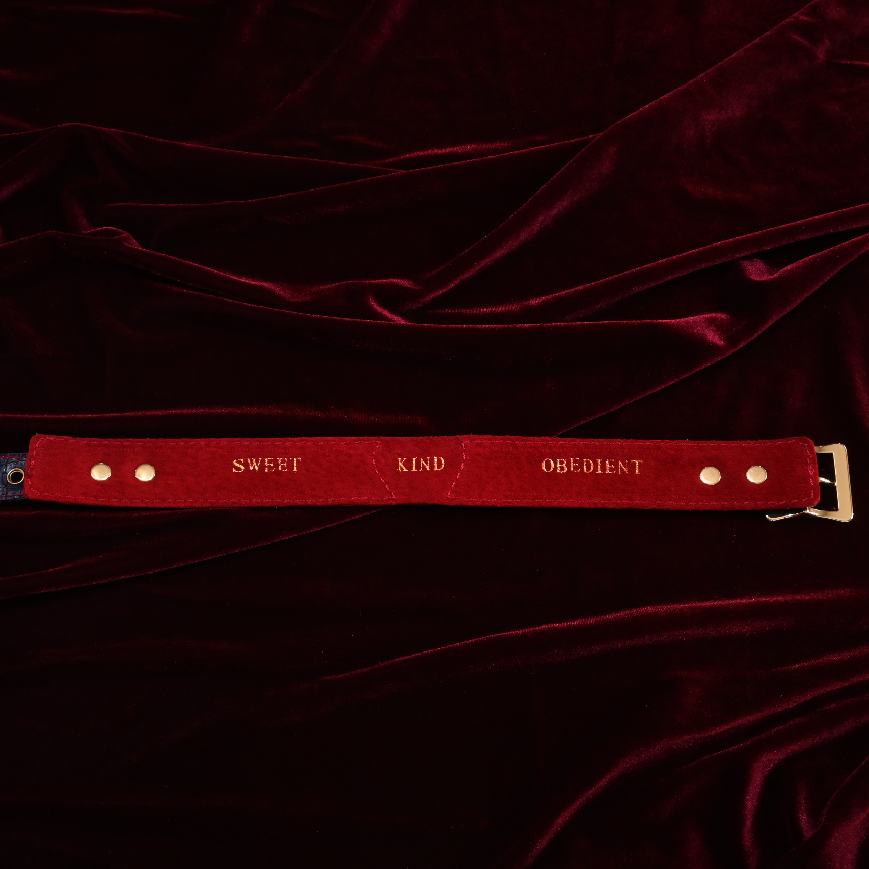 Navy Snake Skin Statement Collar image 3