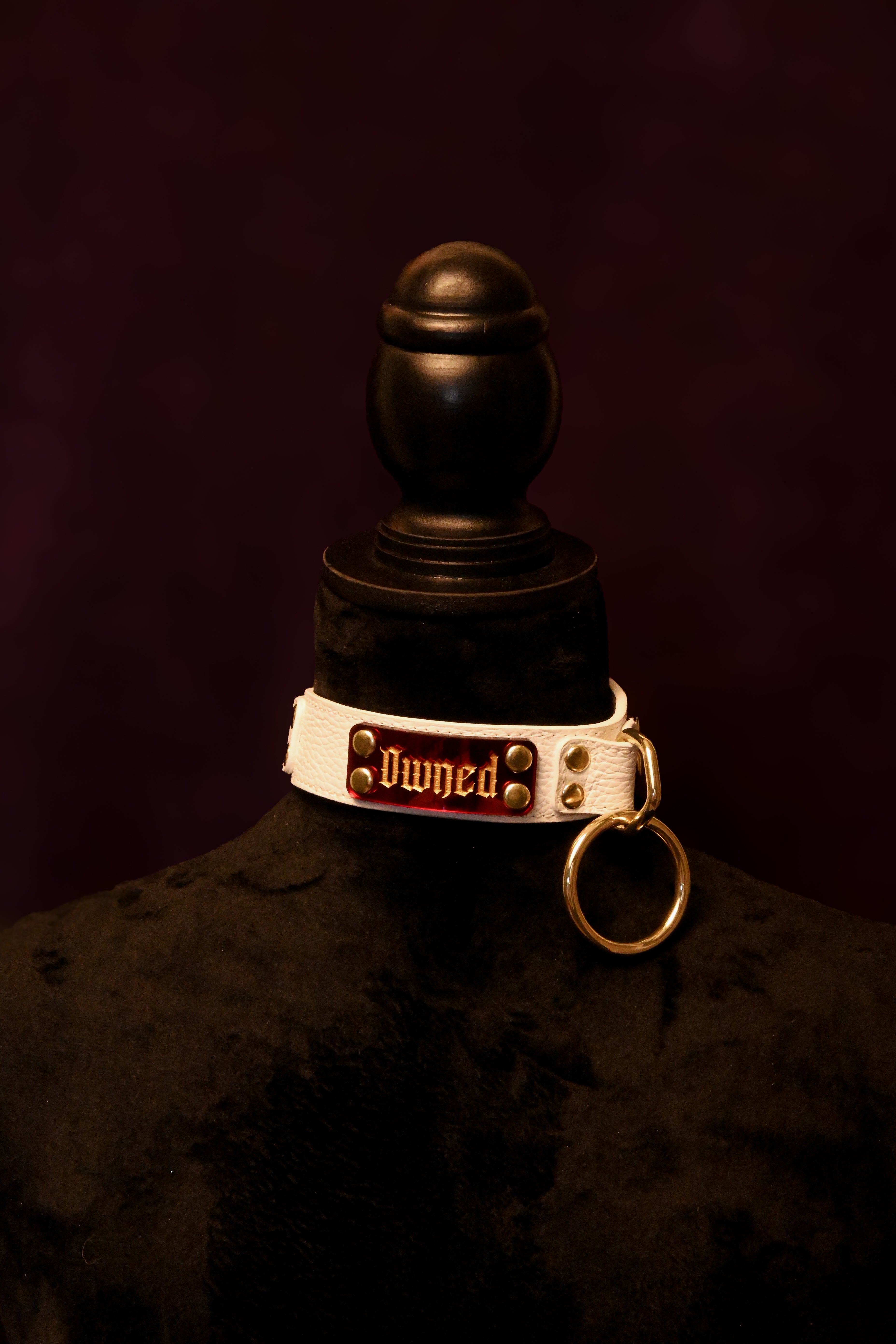 White and gold "owned slave" collar
