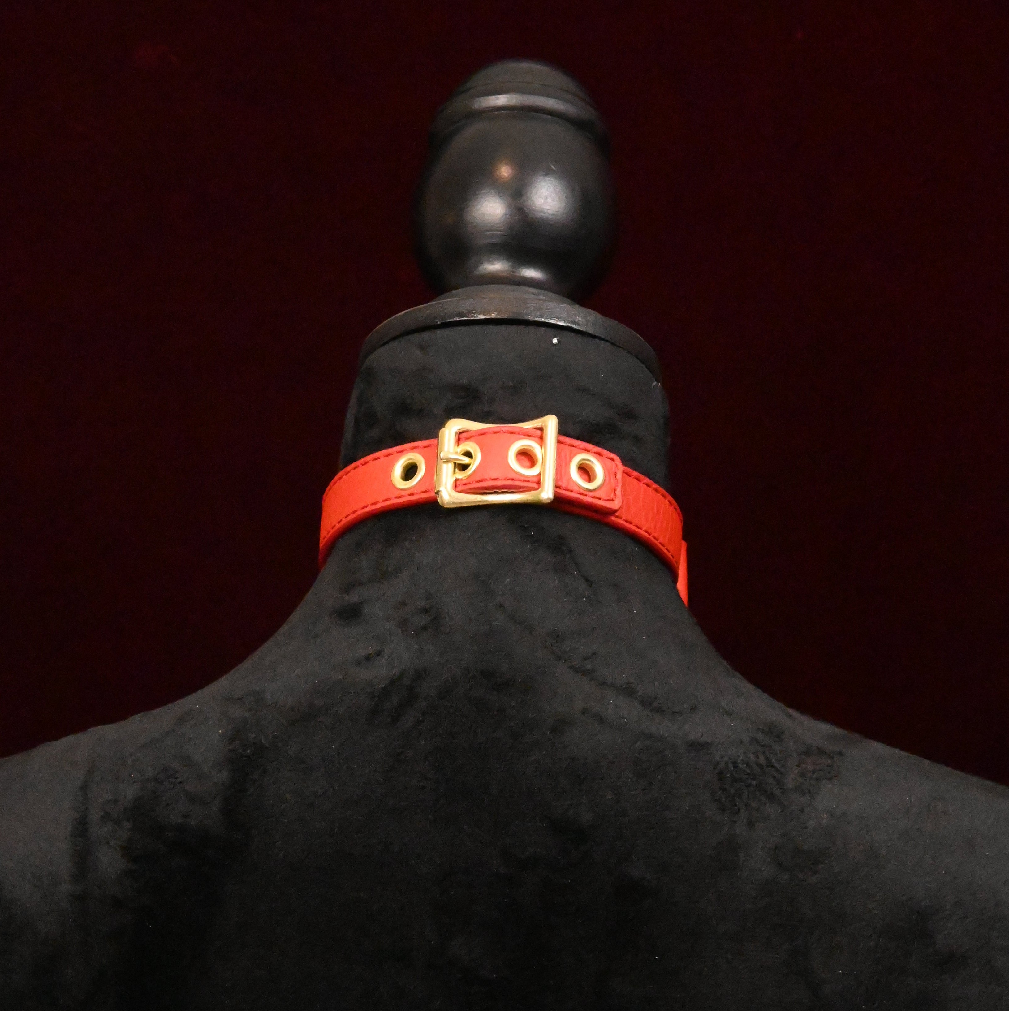 Red collar with gold buckle on a black mannequin on dark background