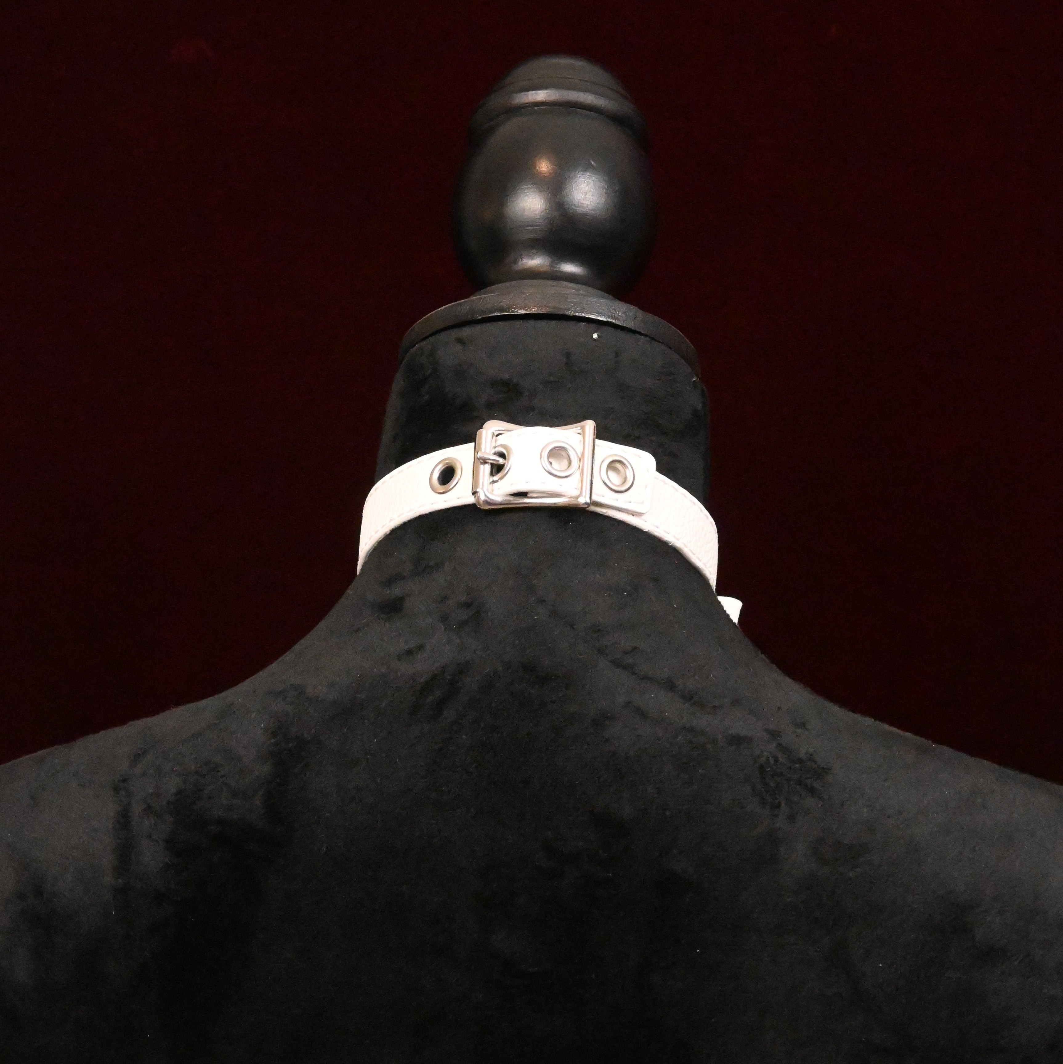 White collar with silver buckle on a black mannequin on dark background