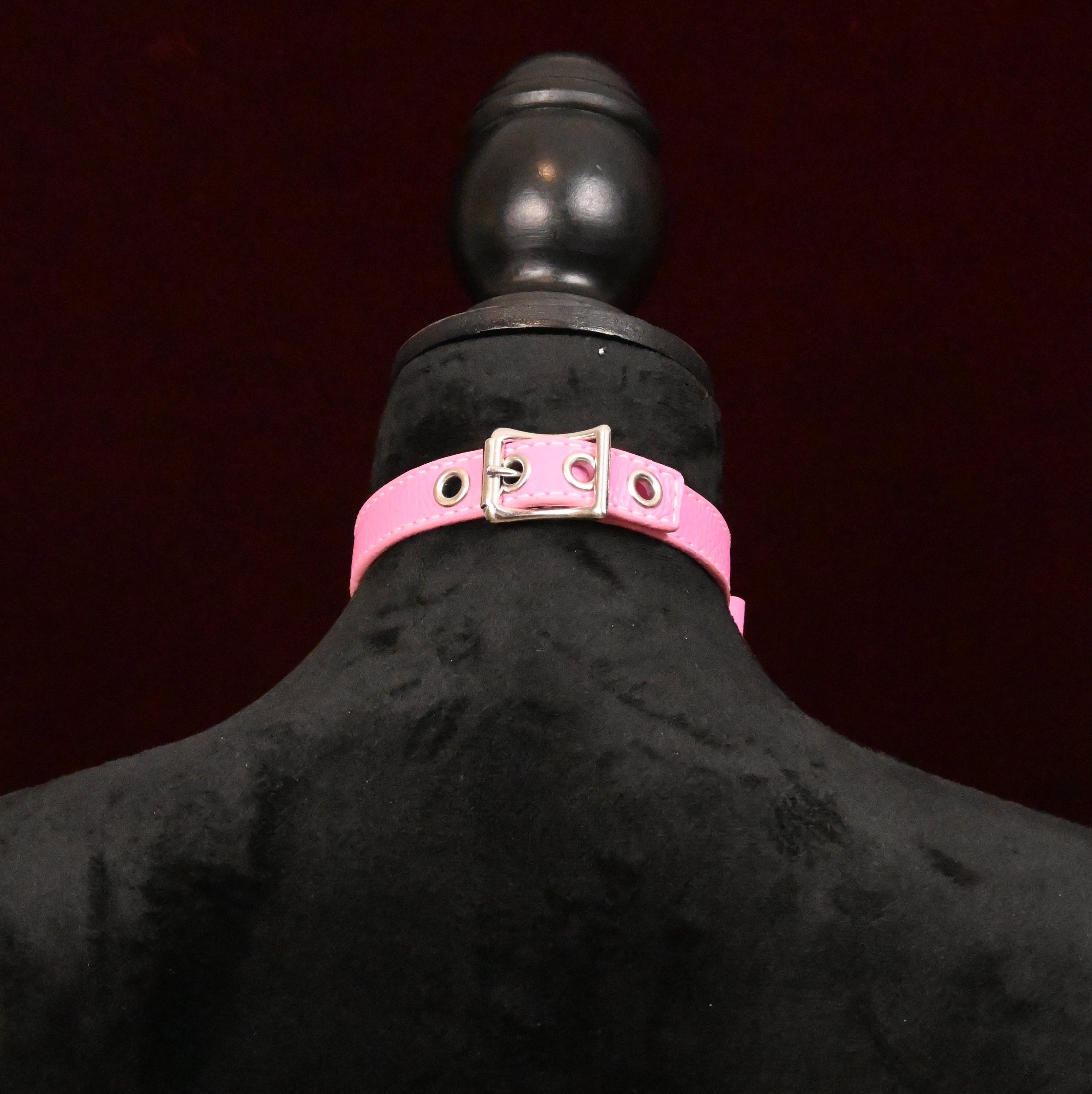 pink collar with silver buckle on black mannequin against dark background