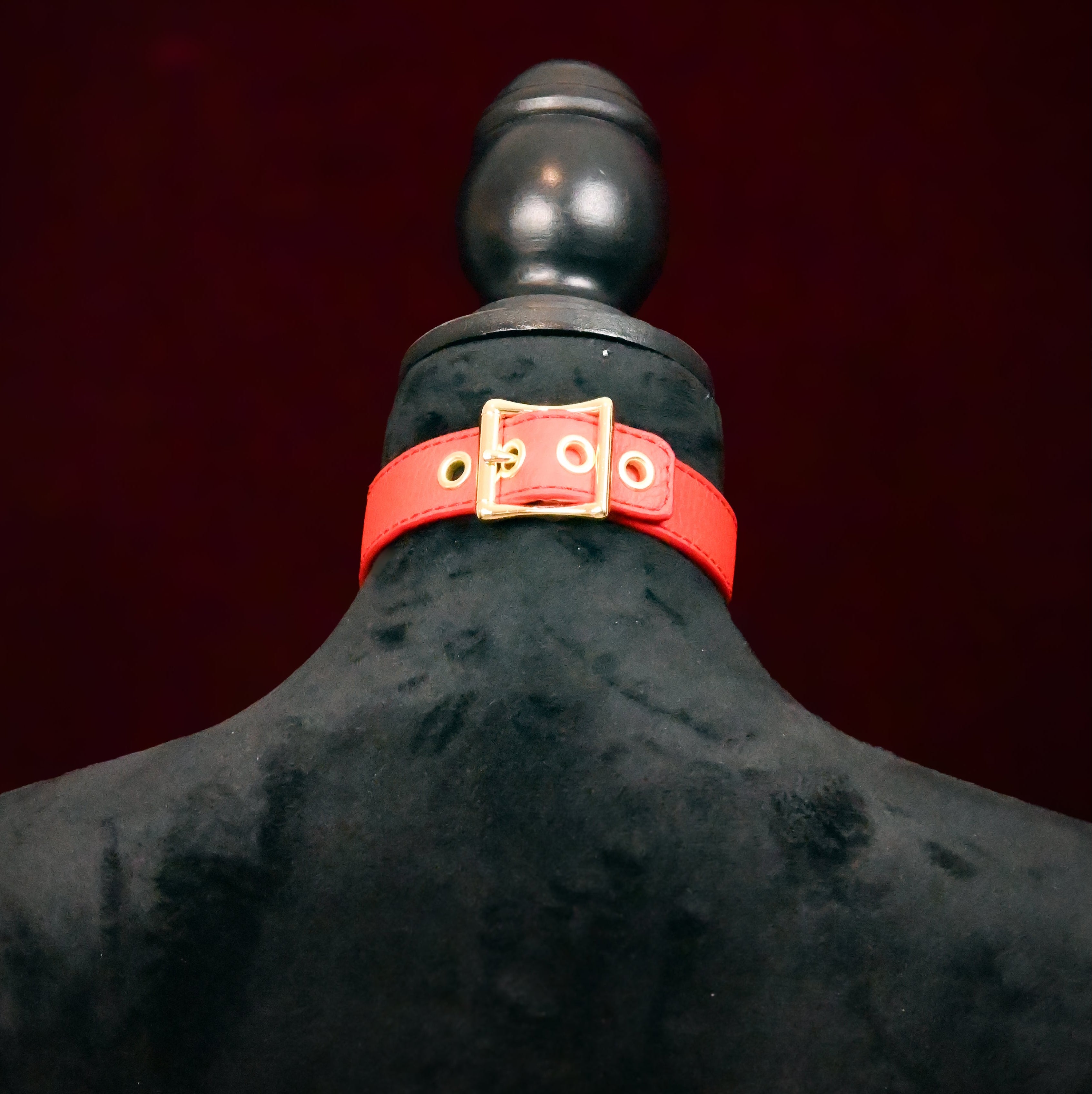 Black mannequin torso with a red leather collar on a dark background
