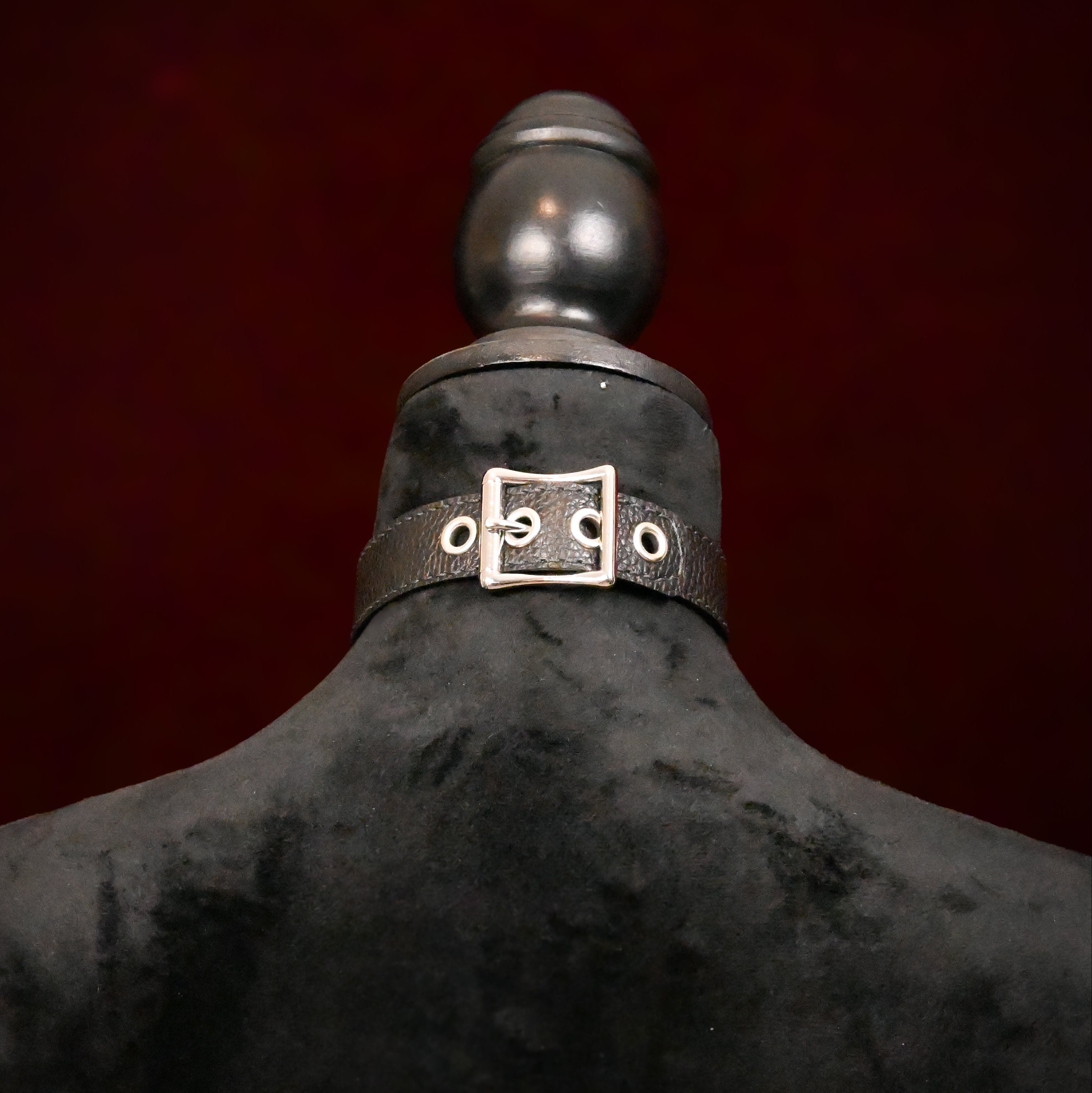 Black leather collar with a silver buckle on a dark background