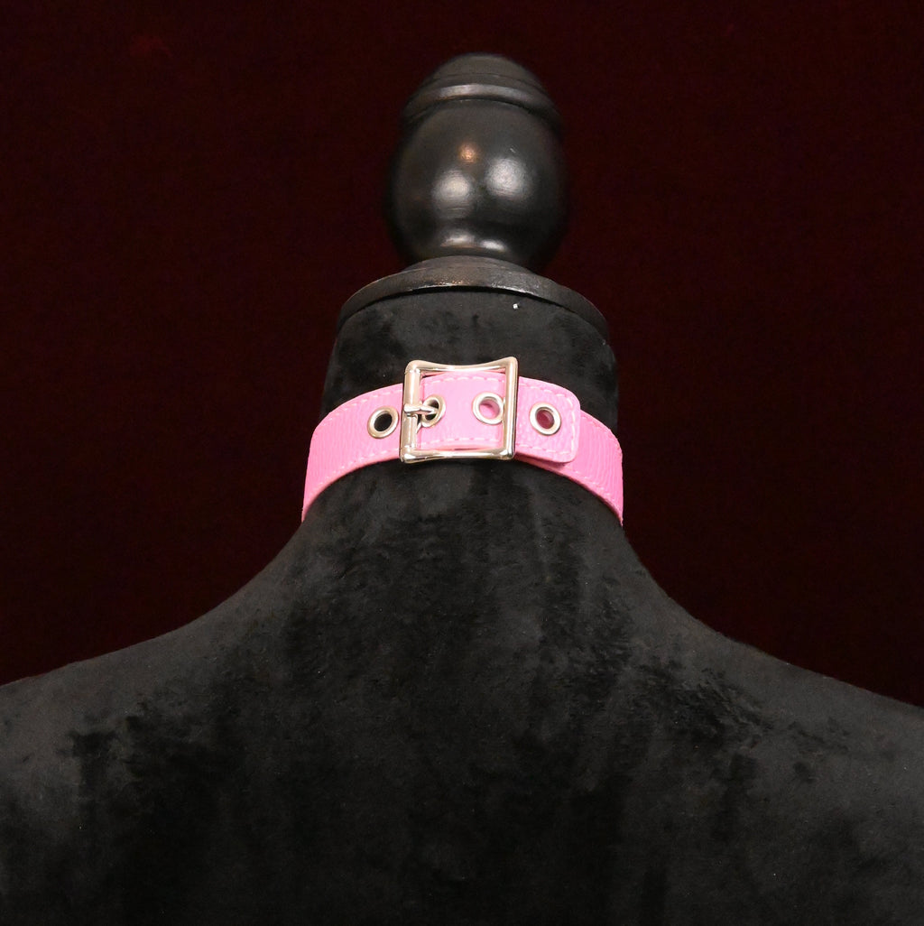 Pink collar with silver buckle on dark background