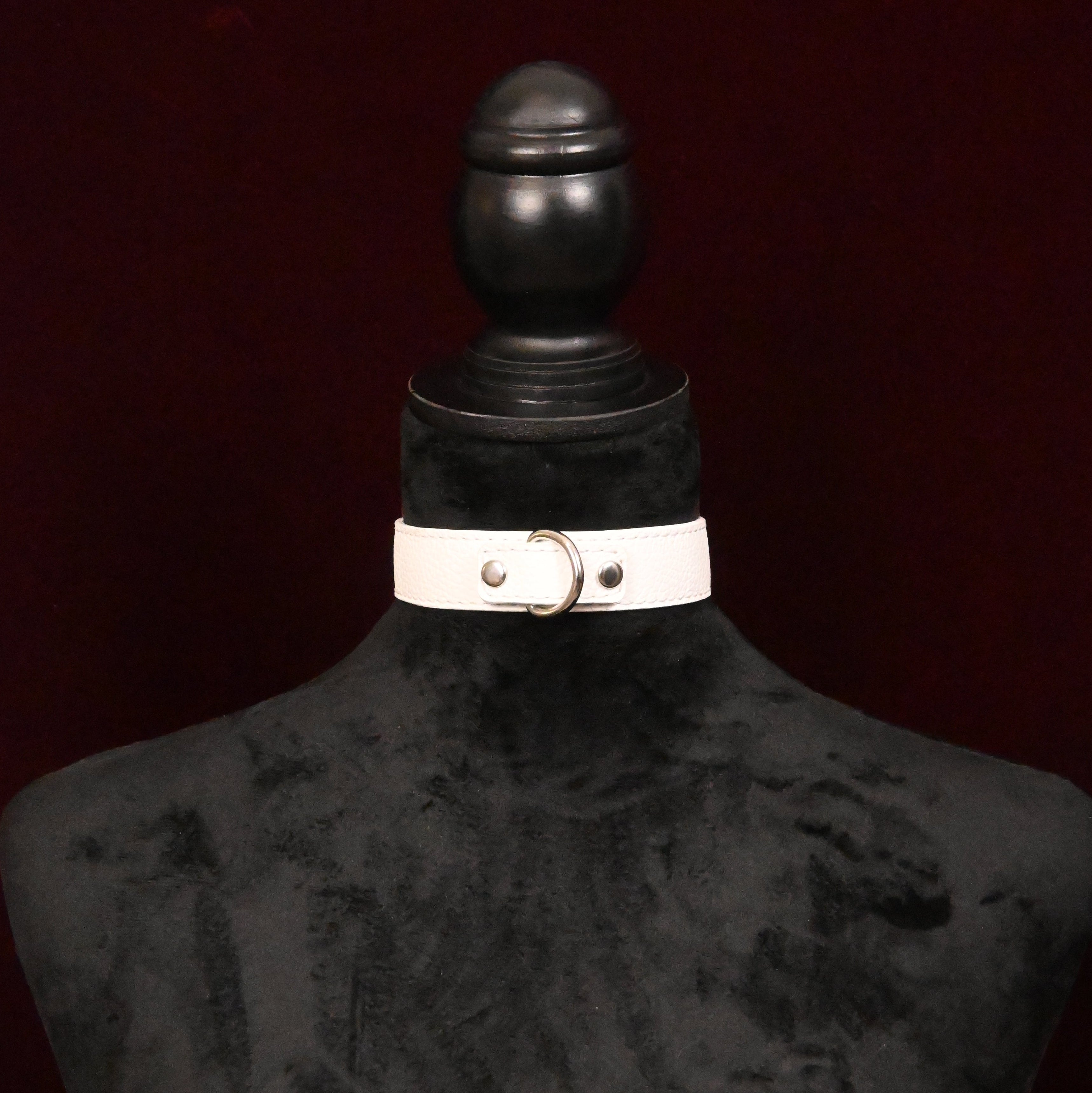 White collar with silver hardware on a dark background