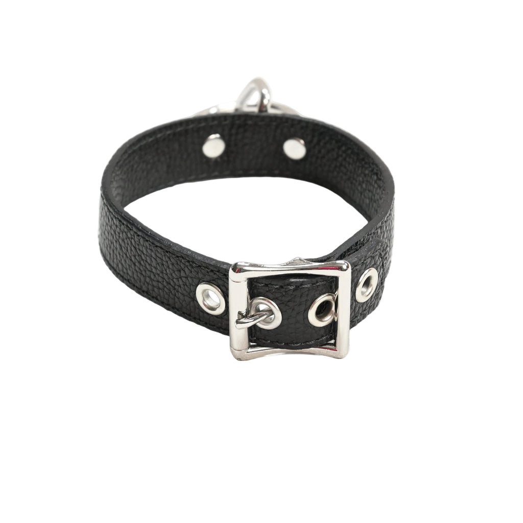 A black textured leather collar with a silver-tone metal buckle and silver eyelets, displayed on a clean white background.