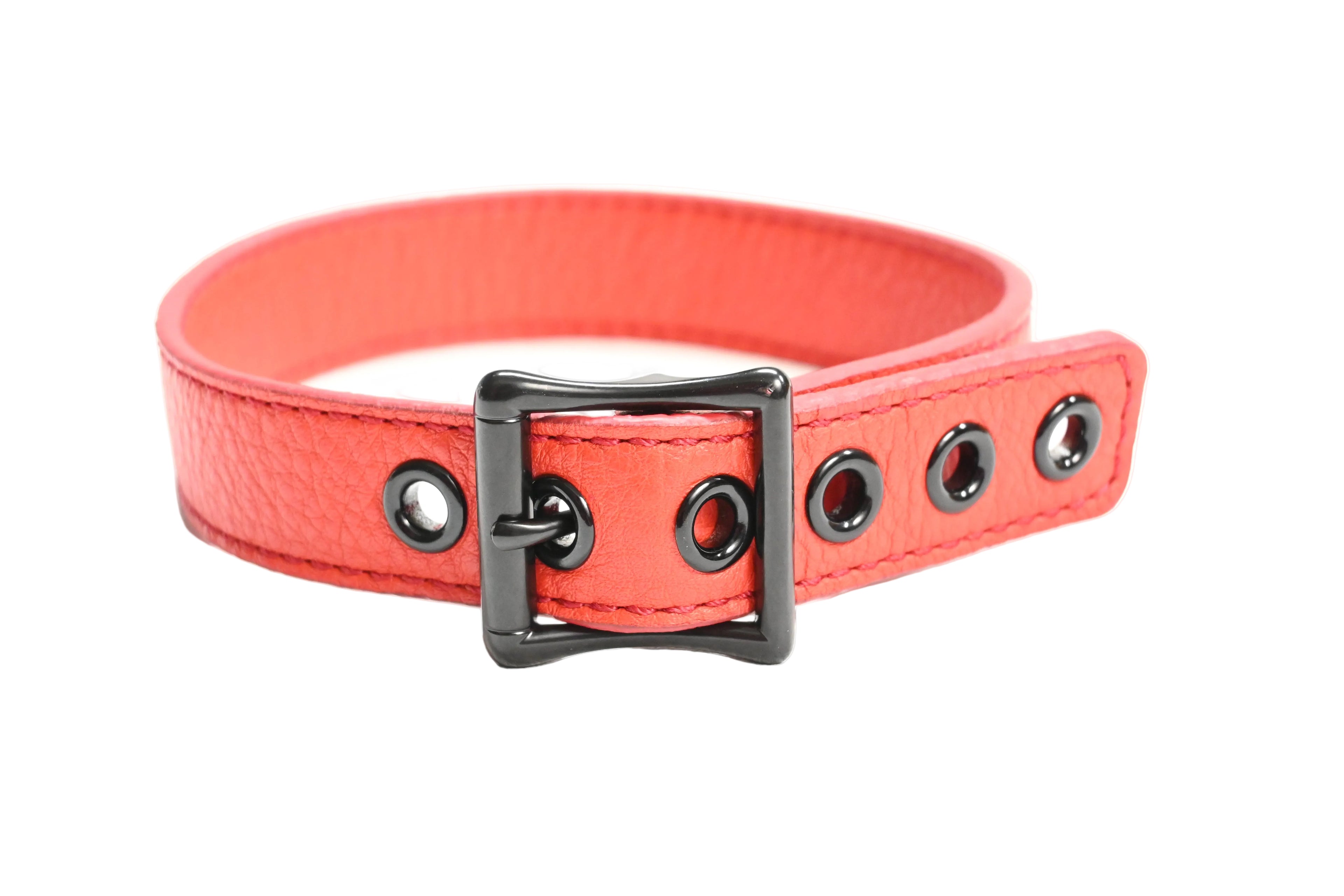 A red leather collar with black hardware set against a plain white background.