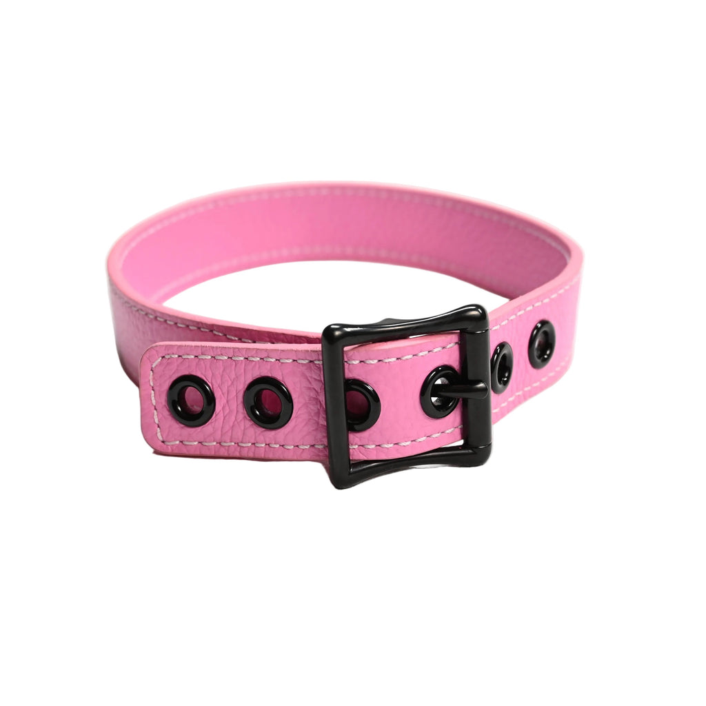 A pink leather collar with a black metal buckle and black eyelets, shown on a plain white background.