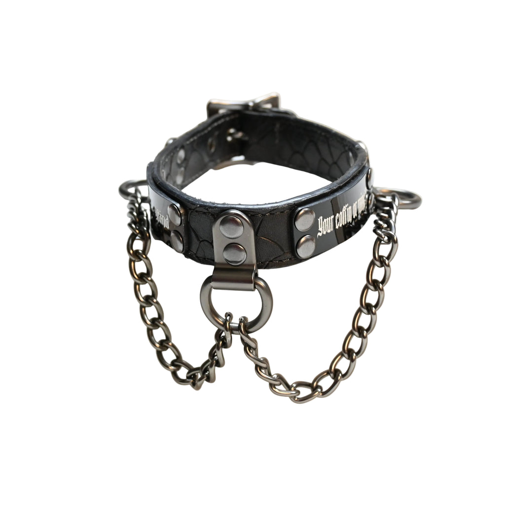 A black leather collar with silver-tone hardware, including a chain and D-ring, displayed on a white background.