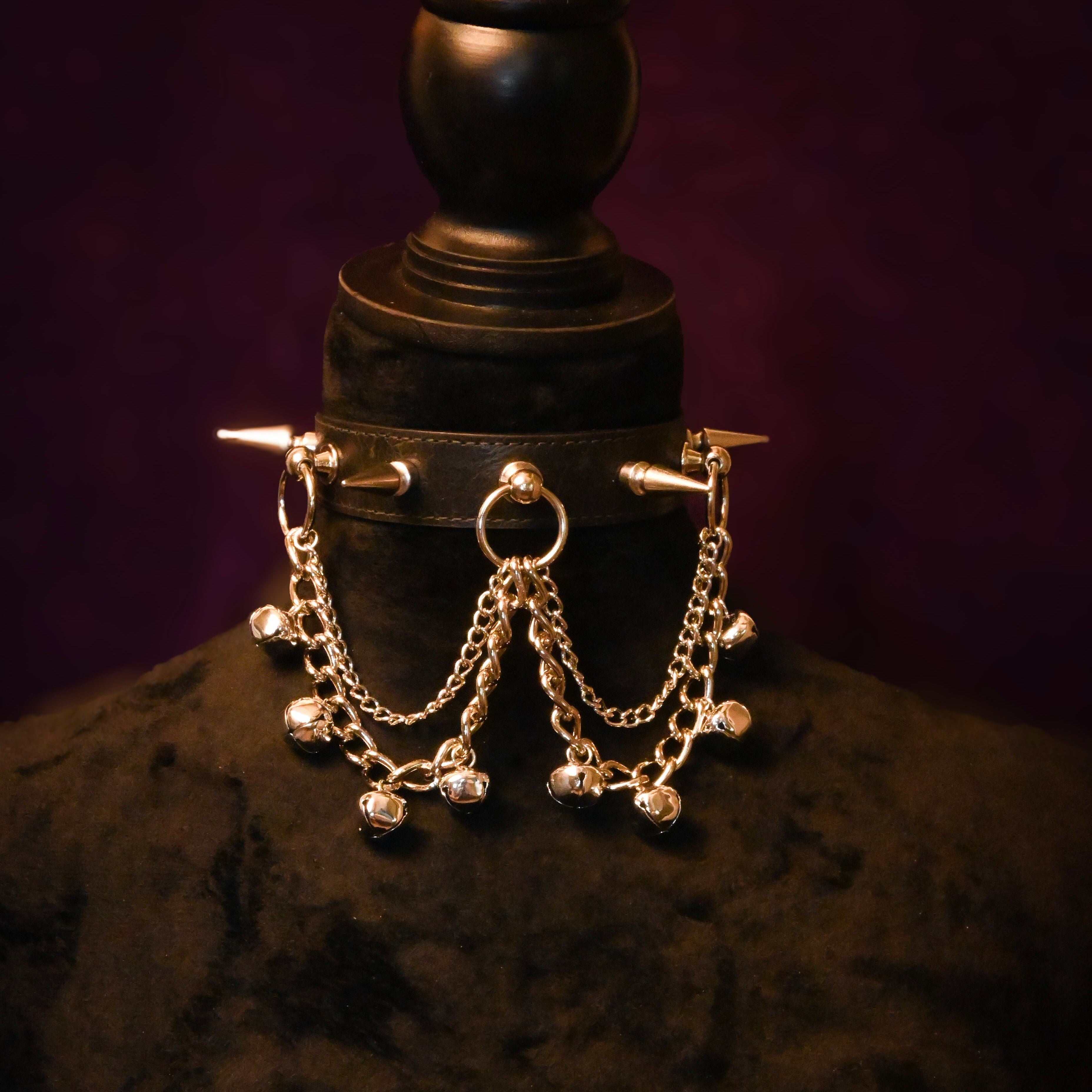 Black Leather Spikes and Bells Collar