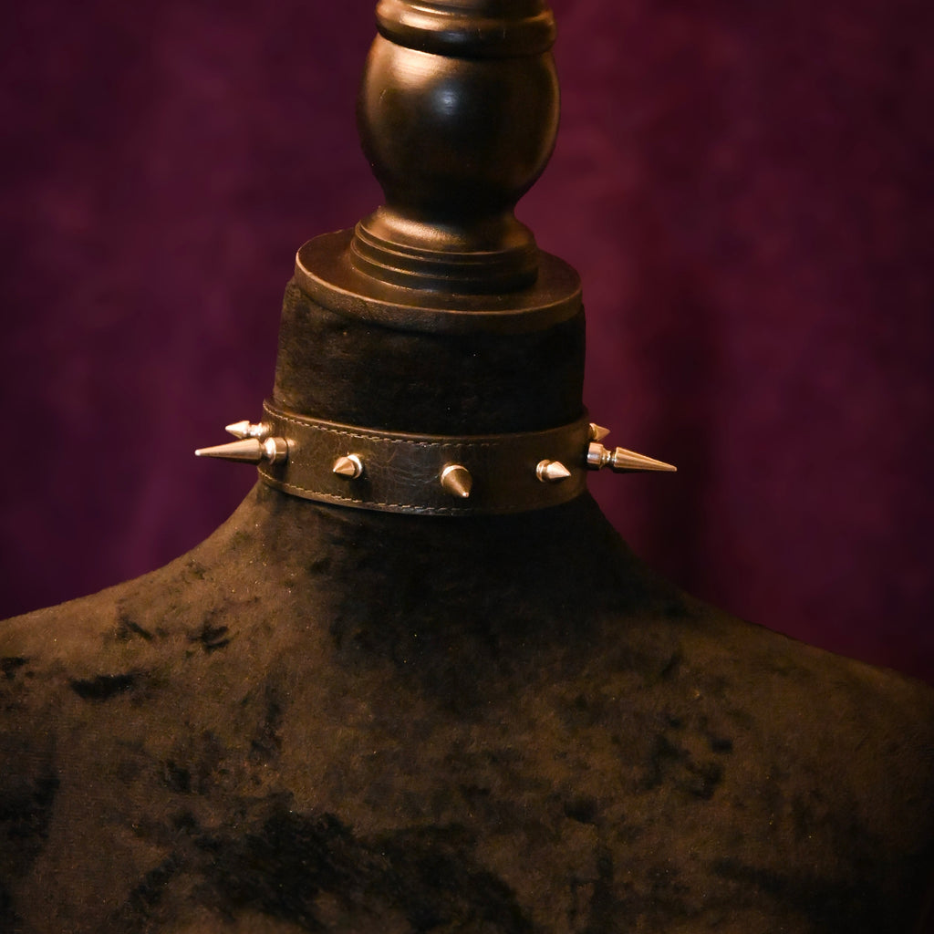 Leather Spike Collar