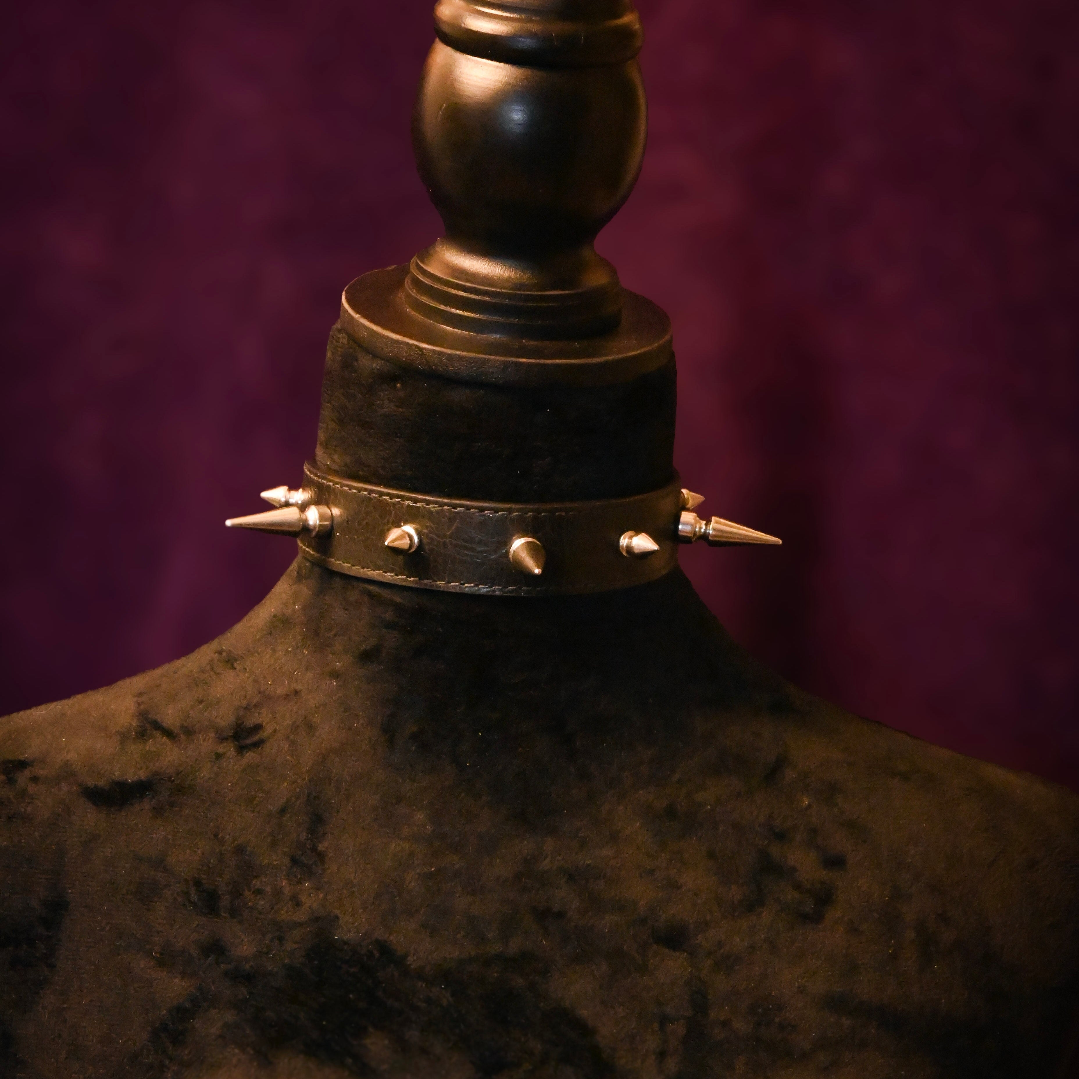 Black Leather Spike Collar