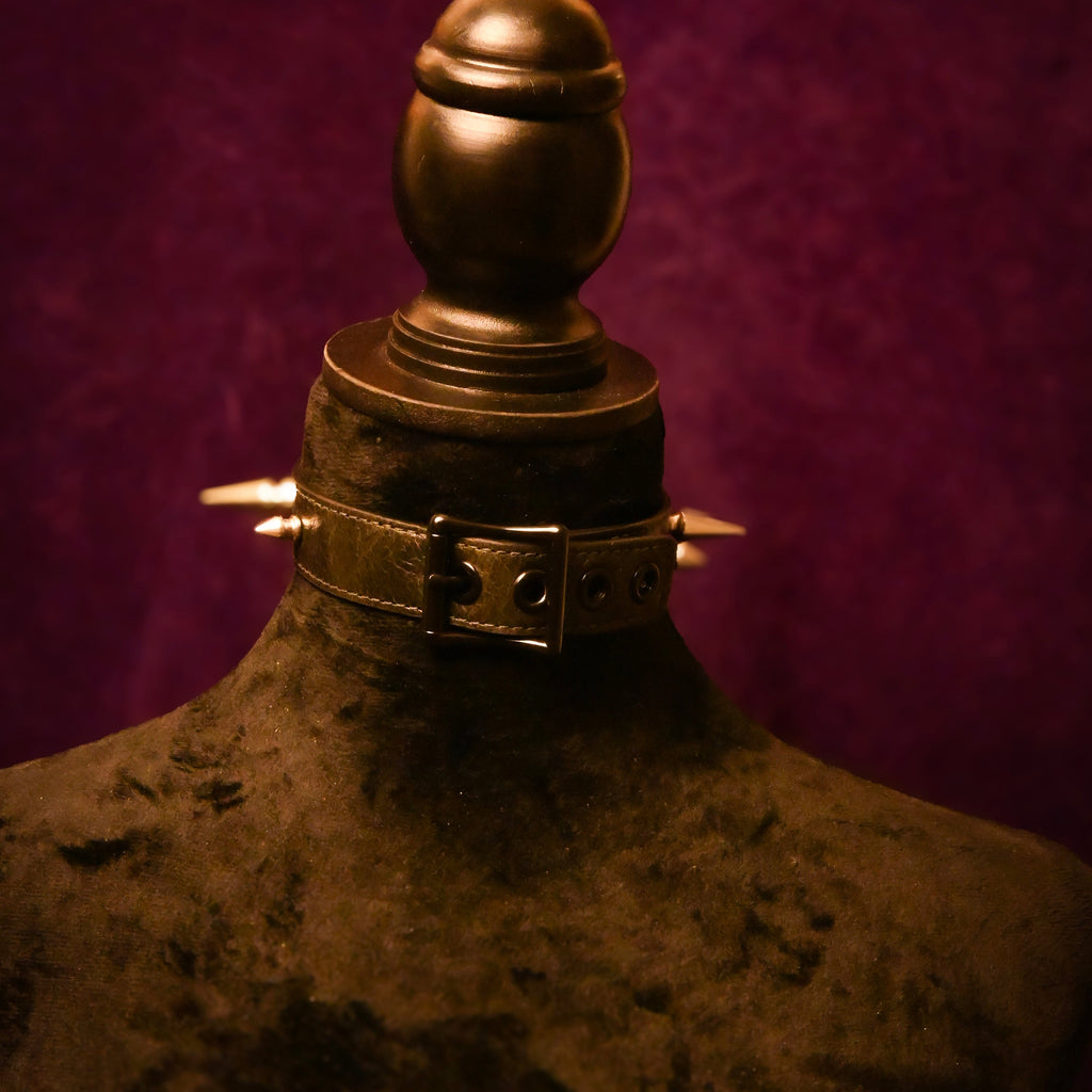 Leather Spike Collar